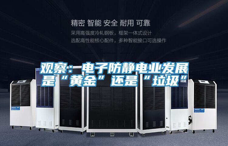 觀察：電子防靜電業發展是“黃金”還是“垃圾”