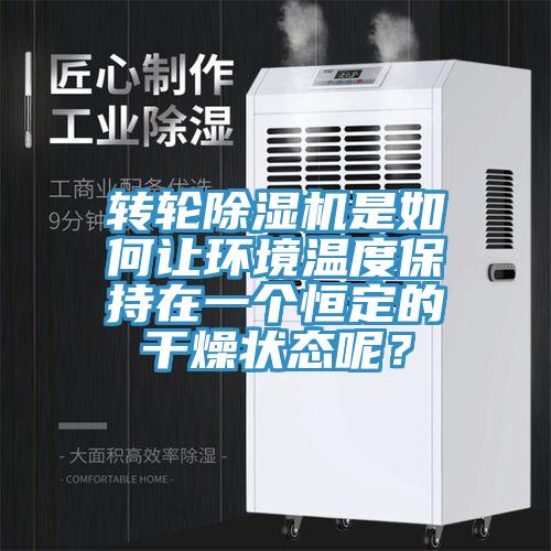 轉輪除濕機是如何讓環境溫度保持在一個恒定的干燥狀態呢？