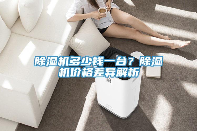 除濕機多少錢一臺？除濕機價格差異解析