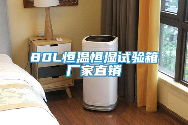 80L恒溫恒濕試驗(yàn)箱廠家直銷(xiāo)