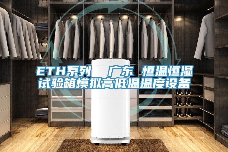 ETH系列  廣東 恒溫恒濕試驗箱模擬高低溫溫度設(shè)備