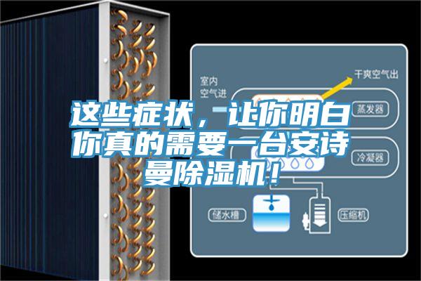 這些癥狀，讓你明白你真的需要一臺安詩曼除濕機！