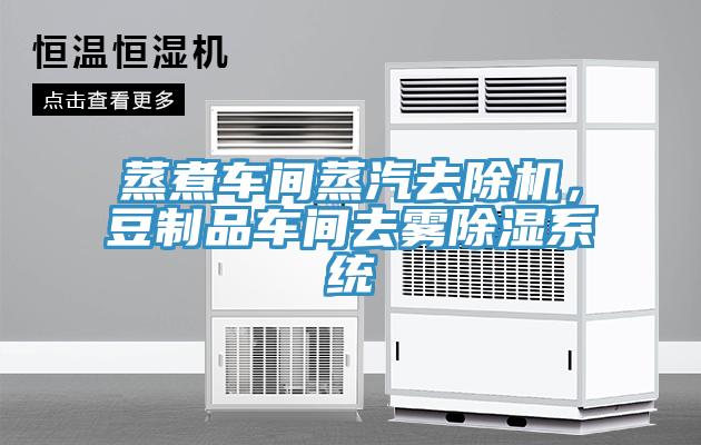 蒸煮車間蒸汽去除機，豆制品車間去霧除濕系統