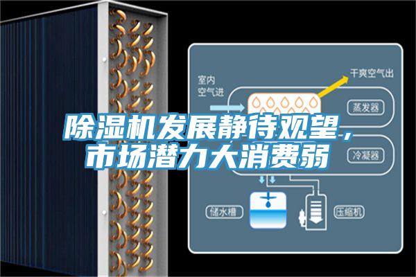 除濕機(jī)發(fā)展靜待觀望，市場潛力大消費(fèi)弱