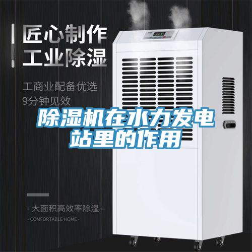 除濕機在水力發(fā)電站里的作用