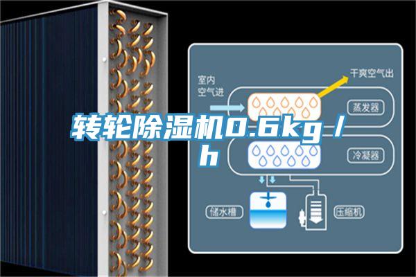 轉(zhuǎn)輪除濕機0.6kg／h