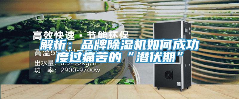 解析:品牌除濕機如何成功度過痛苦的“潛伏期”