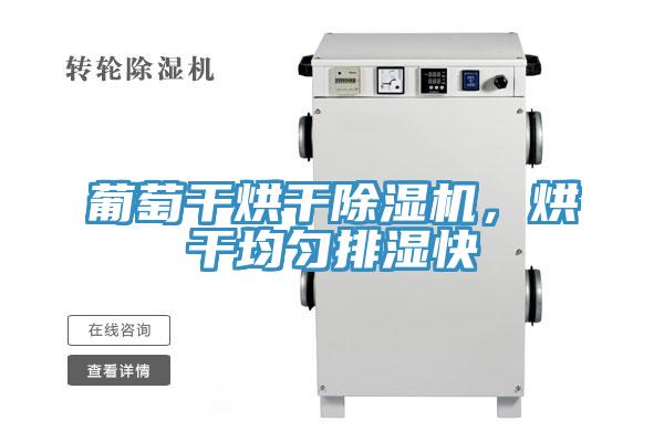 葡萄干烘干除濕機，烘干均勻排濕快