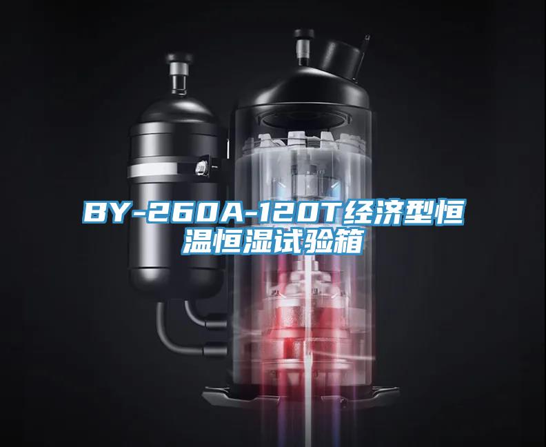 BY-260A-120T經(jīng)濟(jì)型恒溫恒濕試驗(yàn)箱
