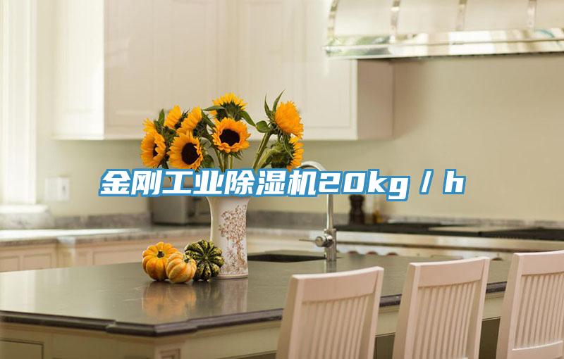 金剛工業除濕機20kg／h