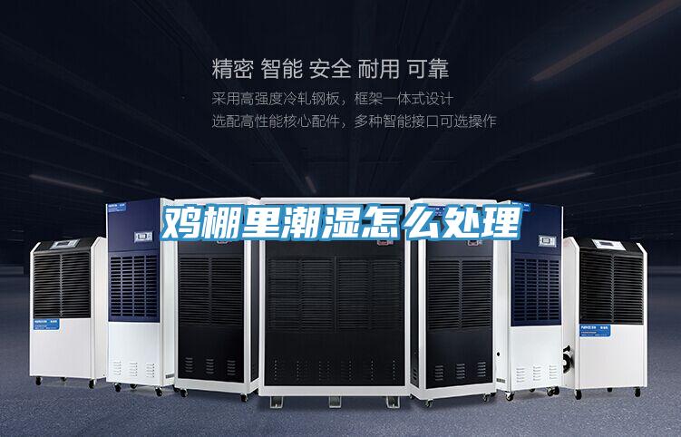 雞棚里潮濕怎么處理