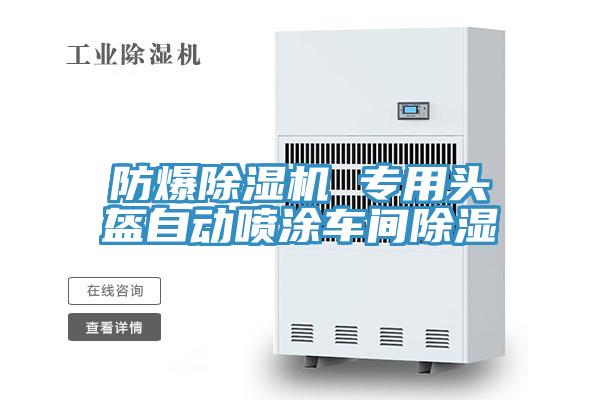 防爆除濕機(jī) 專用頭盔自動噴涂車間除濕