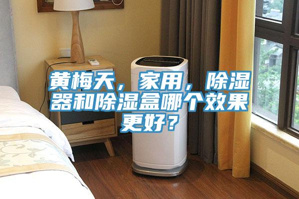 黃梅天，家用，除濕器和除濕盒哪個(gè)效果更好？