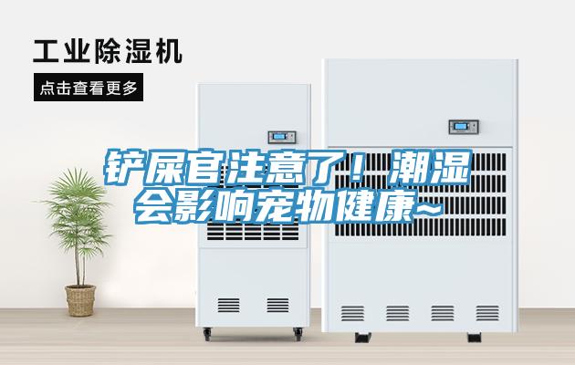 鏟屎官注意了！潮濕會(huì)影響寵物健康~