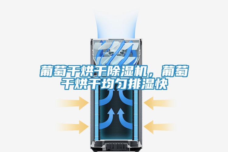 葡萄干烘干除濕機，葡萄干烘干均勻排濕快