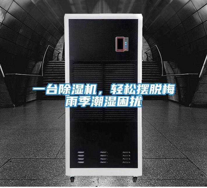 一臺除濕機，輕松擺脫梅雨季潮濕困擾