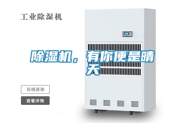 除濕機，有你便是晴天