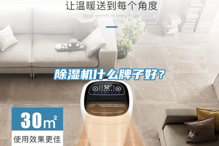 除濕機什么牌子好？