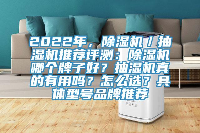 2022年，除濕機／抽濕機推薦評測：除濕機哪個牌子好？抽濕機真的有用嗎？怎么選？具體型號品牌推薦
