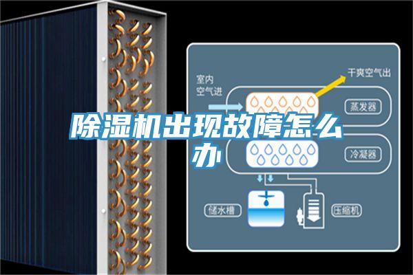 除濕機出現(xiàn)故障怎么辦