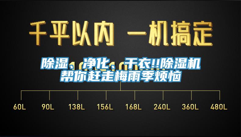 除濕、凈化、干衣!!除濕機幫你趕走梅雨季煩惱