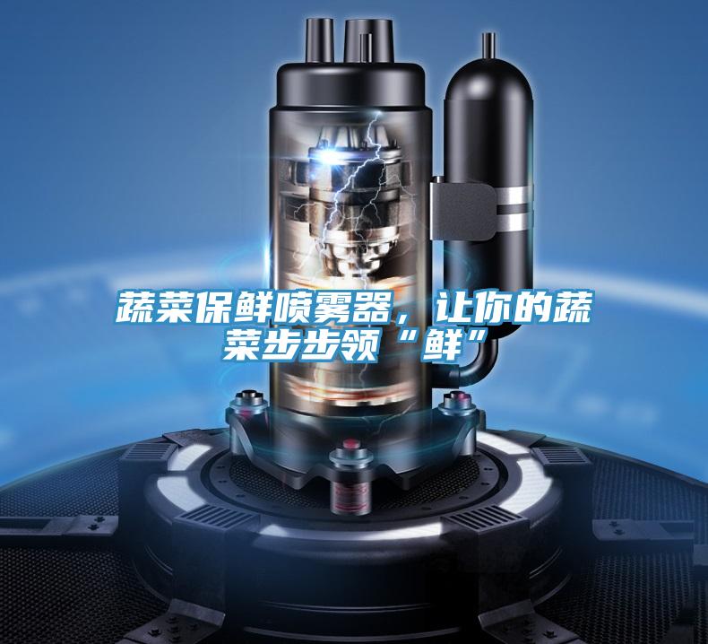 蔬菜保鮮噴霧器，讓你的蔬菜步步領(lǐng)“鮮”