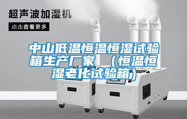 中山低溫恒溫恒濕試驗箱生產廠家 （恒溫恒濕老化試驗箱）