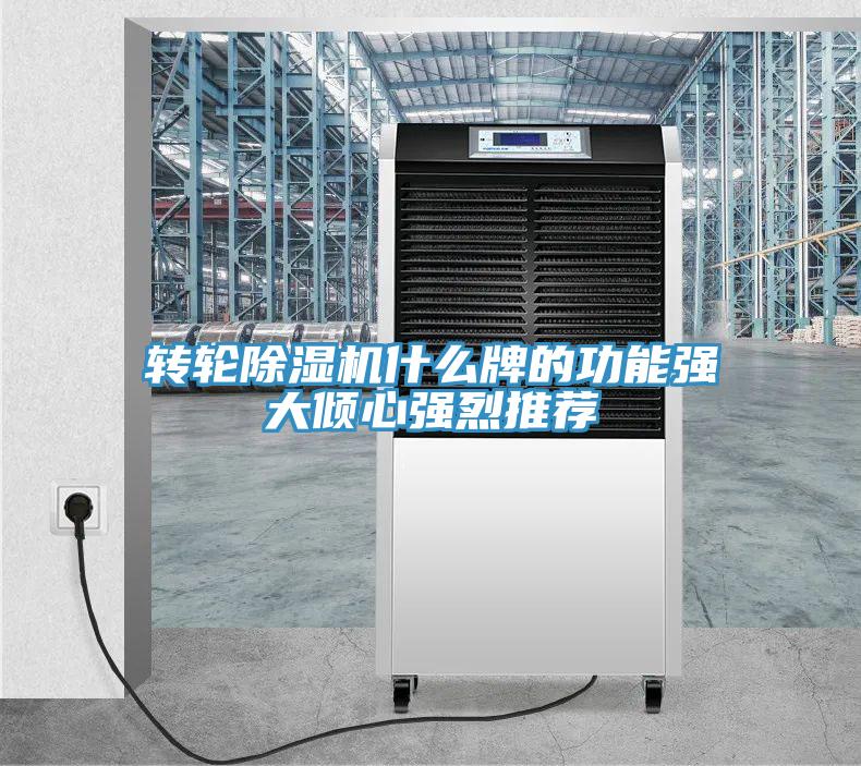 轉(zhuǎn)輪除濕機什么牌的功能強大傾心強烈推薦