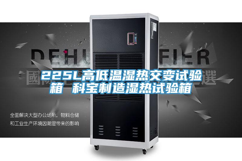 225L高低溫濕熱交變試驗(yàn)箱 科寶制造濕熱試驗(yàn)箱