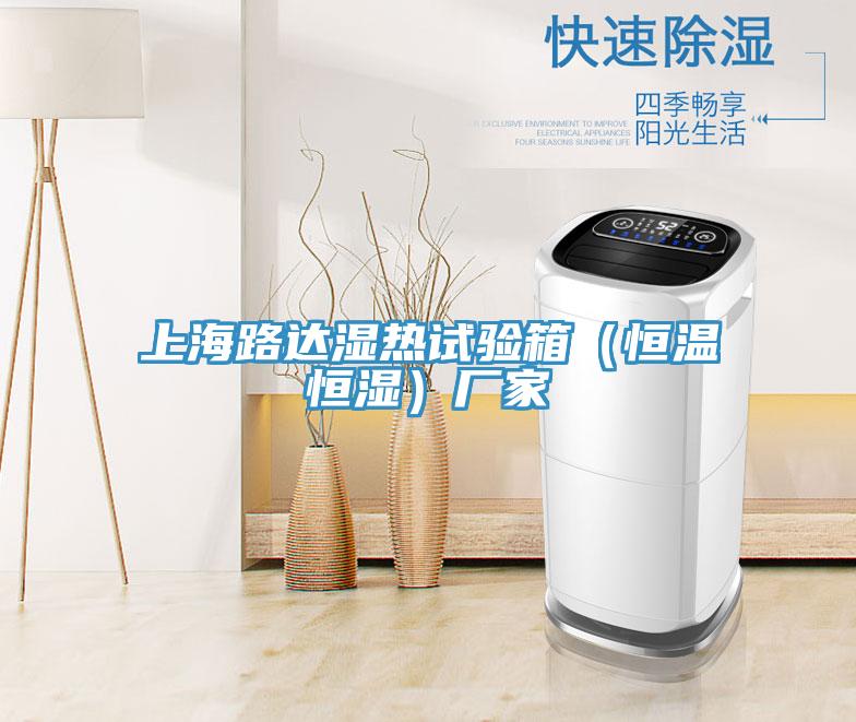 上海路達(dá)濕熱試驗箱(恒溫恒濕)廠家