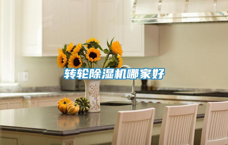 轉輪除濕機哪家好