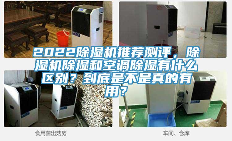 2022除濕機推薦測評，除濕機除濕和空調除濕有什么區別？到底是不是真的有用？