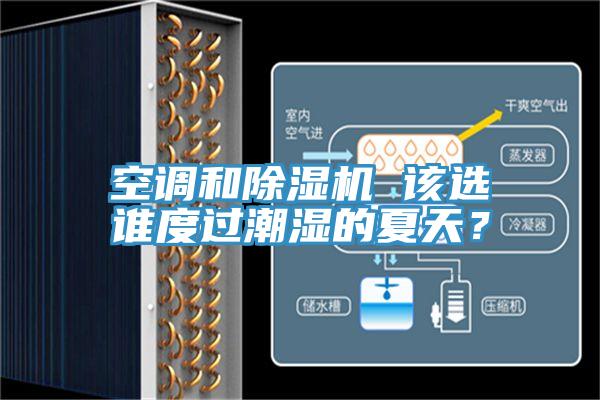 空調和除濕機 該選誰度過潮濕的夏天？