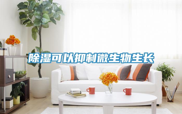 除濕可以抑制微生物生長