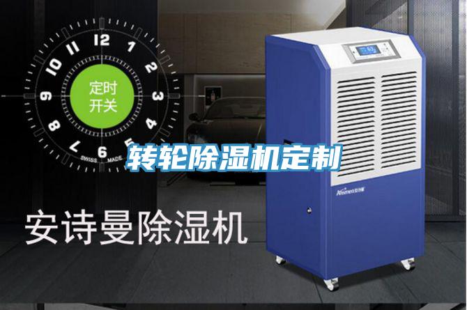 轉輪除濕機定制