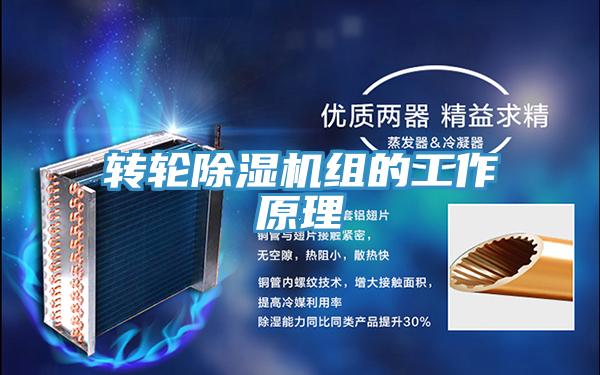 轉輪除濕機組的工作原理