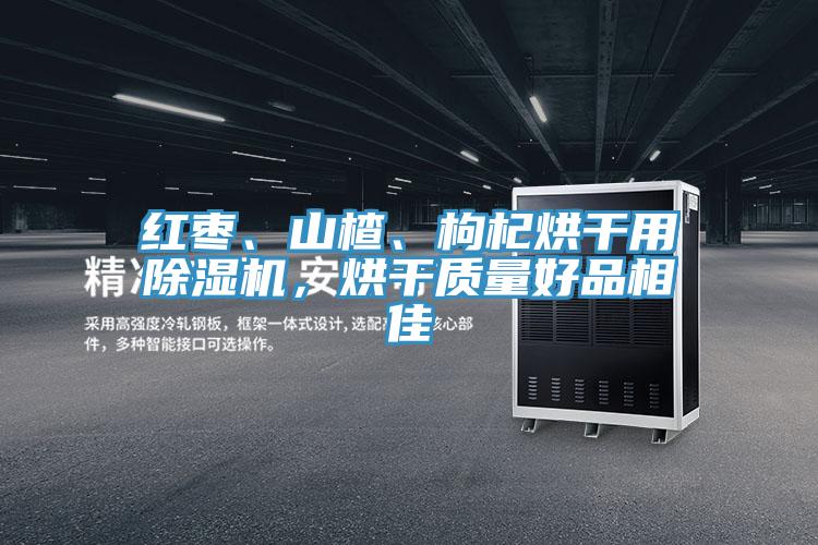紅棗、山楂、枸杞烘干用除濕機(jī)，烘干質(zhì)量好品相佳