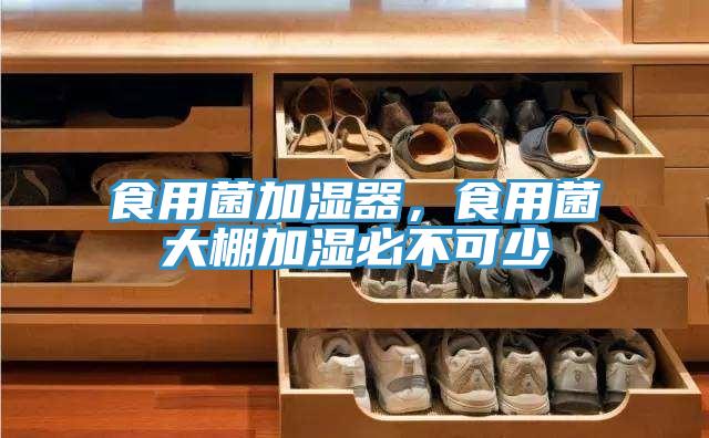 食用菌加濕器，食用菌大棚加濕必不可少