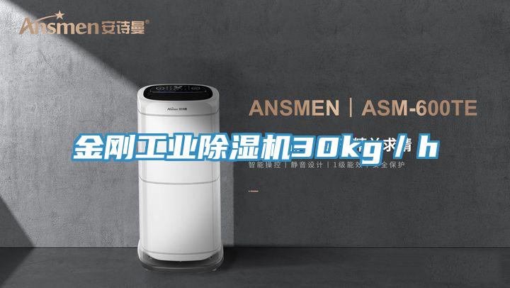 金剛工業除濕機30kg／h