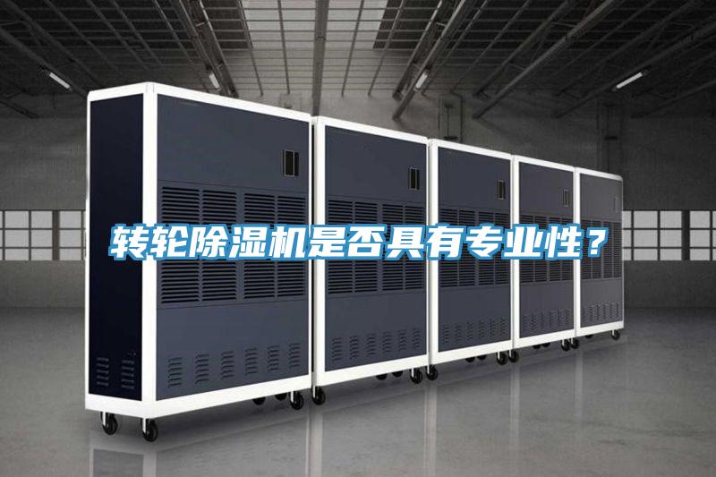 轉(zhuǎn)輪除濕機(jī)是否具有專業(yè)性？