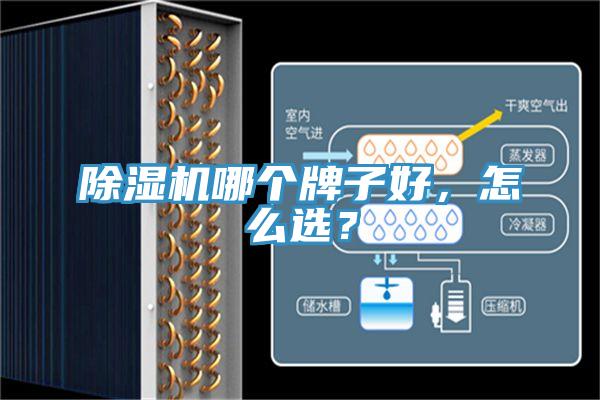 除濕機哪個牌子好，怎么選？