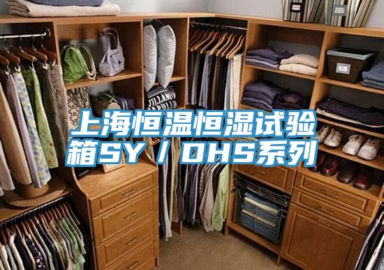 上海恒溫恒濕試驗箱SY/DHS系列