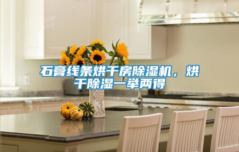 石膏線條烘干房除濕機，烘干除濕一舉兩得