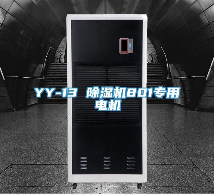 YY-13 除濕機801專用電機