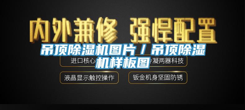 吊頂除濕機圖片／吊頂除濕機樣板圖