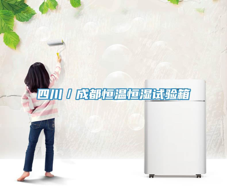 四川／成都恒溫恒濕試驗箱