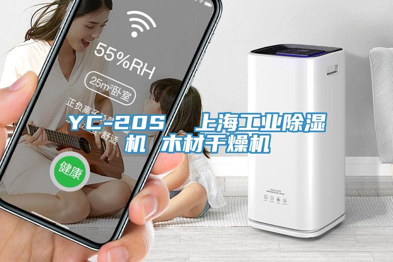 YC-20S  上海工業(yè)除濕機 木材干燥機