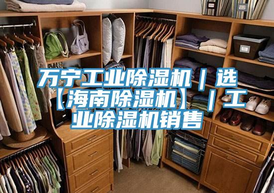 萬寧工業(yè)除濕機(jī)|選【海南除濕機(jī)】|工業(yè)除濕機(jī)銷售