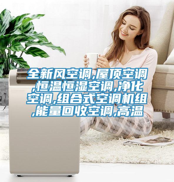 全新風(fēng)空調(diào),屋頂空調(diào),恒溫恒濕空調(diào),凈化空調(diào),組合式空調(diào)機(jī)組,能量回收空調(diào),高溫