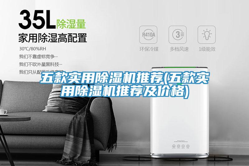 五款實(shí)用除濕機(jī)推薦(五款實(shí)用除濕機(jī)推薦及價(jià)格)